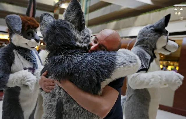 A man is hugged by an attendee dressed up in a "fursuit" costume at the Midwest FurFest in the Chicago suburb of Rosemont, Illinois, United States, December 4, 2015. (Photo by Jim Young/Reuters)