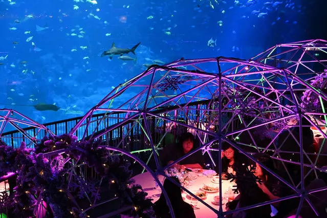 Dinners eat in pods set up for the pop-up restaurant Aqua Gastronomy inside Resorts World Sentosa's S.E.A. Aquarium, which runs in the evenings following the aquarium's visiting hours, in Singapore on December 3, 2020. (Photo by Roslan Rahman/AFP Photo)
