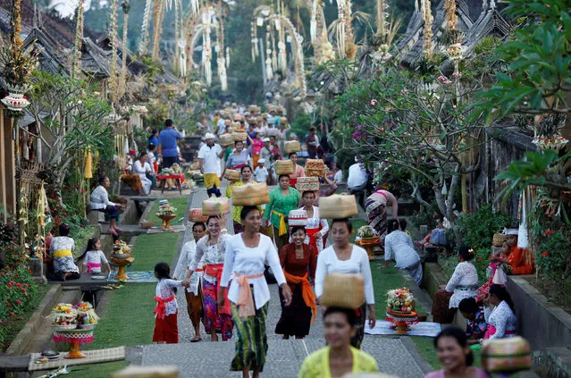 Balinese Hindus carry offerings while celebrating the Galungan religious holiday at Penglipuran village in Bangli Regency, on the resort island of Bali, Indonesia May 30, 2018. (Photo by Nyimas Laula/Reuters)