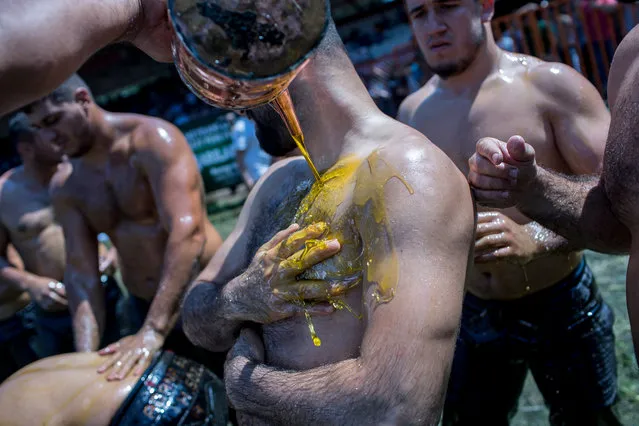 A Turkish oil-wrestler gets oil on his body as he prepares for the wrestling match during the traditional Kirkpinar Oil wrestling festival in Edirne, Turkey, 14 July 2018. Every year since 1640, Turkey's best wrestlers – men and boys – gather for their national championships on a grassy field near the Ottoman capital city of Edirne. (Photo by Sedat Suna/EPA/EFE)