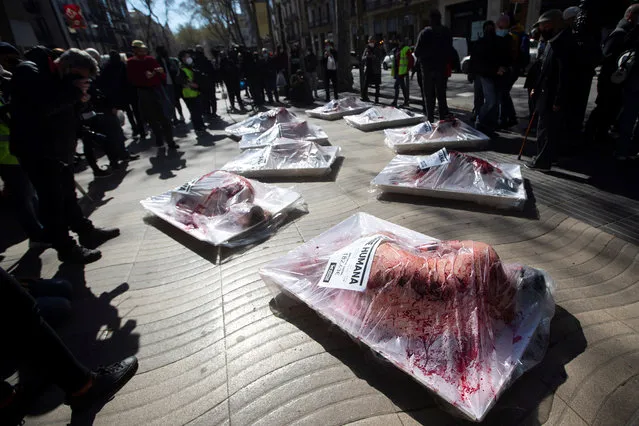 Animal rights group AnimaNaturalis activists take part in an action to protest against the consumption of meat in Barcelona, Spain, 20 March 2021. The demonstrators simulated to be packed meat ready to be sold. (Photo by Marta Perez/EPA/EFE)