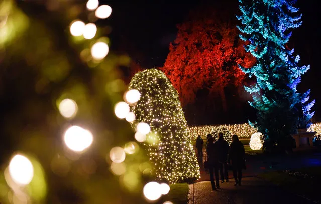 Visitors walk along illuminated objects during the Christmas Garden event at botanic garden in Berlin, Germany November 18, 2016. (Photo by Stefanie Loos/Reuters)