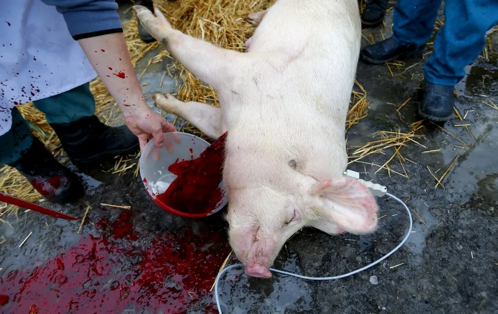 The Day in Photos – January 10, 2016