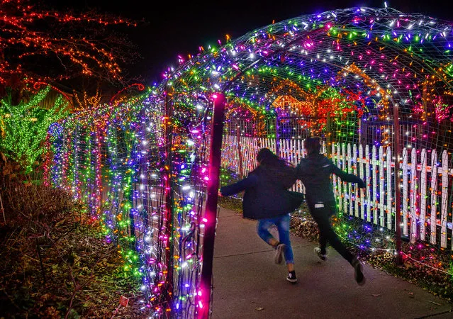 A pair of young visitors rushes through a tunnel of colored lights at the annual Garden of Lights display at Brookside Gardens on December, 06, 2015 in Silver Spring, MD. (Photo by Bill O'Leary/The Washington Post)