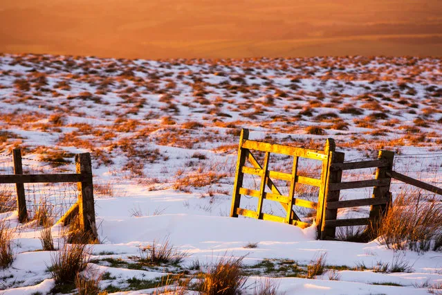 Snow on Black Fell at sunset in Cumbria, UK on January 22, 2016. (Photo by Ashley Cooper/Barcroft Media)