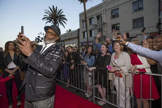 Cast member Samuel L. Jackson takes a selfie in front of fans at the premiere of “Avengers: Age of Ultron” at Dolby theatre in Hollywood, California April 13, 2015. (Photo by Mario Anzuoni/Reuters)