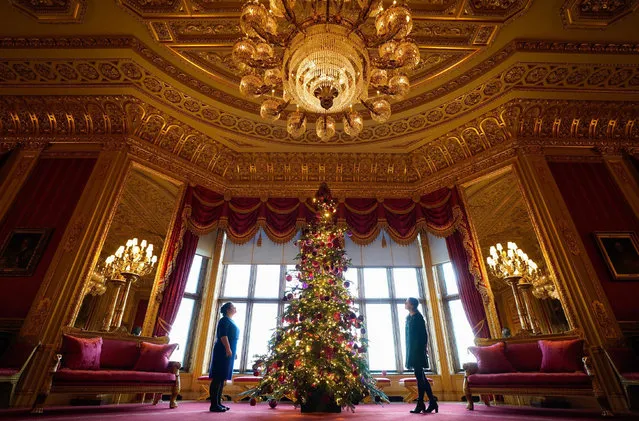 Members of the Royal Collection Trust look up at a Christmas tree on display in the Crimson Drawing Room, during a photo call for Christmas decorations at Windsor Castle, Berkshire on Thursday, November 24, 2022. (Photo by Andrew Matthews/PA Images via Getty Images)