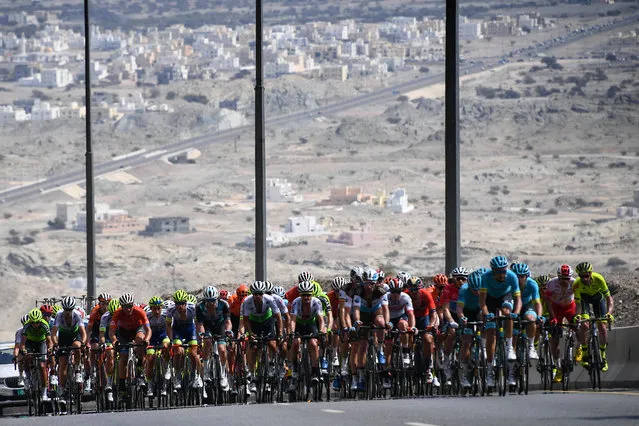 The pack rides during the fourth stage of the cycling Tour of Oman between Yiti (al-Sifah) on the outskirts of Muscat and the Oman Convention and Exhibition Centre in the capital, on February 19, 2019. (Photo by Anne-Christine Poujoulat/AFP Photo)