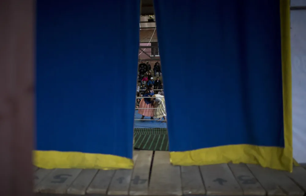 Women Wrestlers of Bolivia