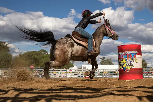 A competitor steers her mount around one of the markers in the barrel race of the Rodeo competition at the 2019 Mudgee Show on March 01, 2019 in Mudgee, Australia. (Photo by Mark Kolbe/Getty Images)