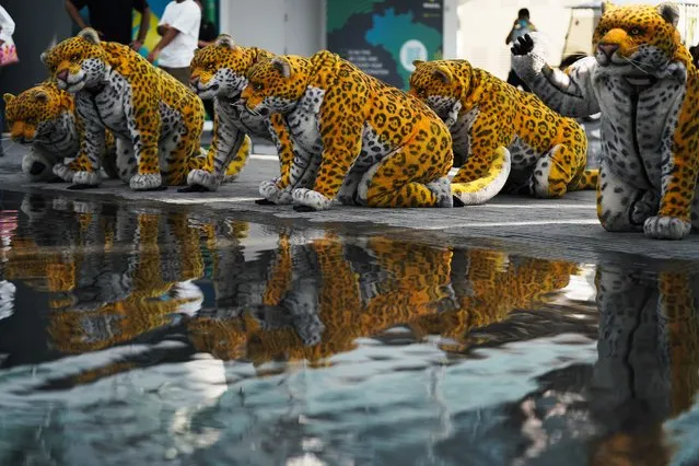 A troop of performers dressed as jaguars pose near the water at the Brazil pavilion at Expo 2020 in Dubai, United Arab Emirates, Friday, October 1, 2021. (Photo by Jon Gambrell/AP Photo)