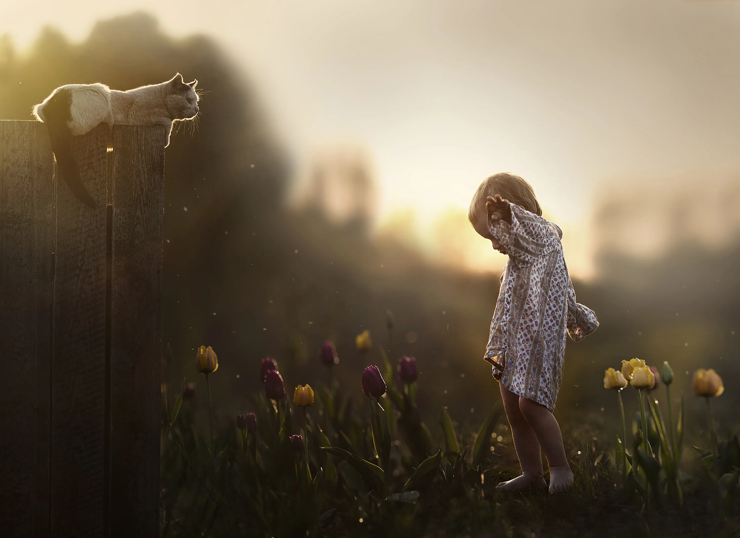 Дети красота жизни. Elena Shumilova фотограф. Душевные картинки.