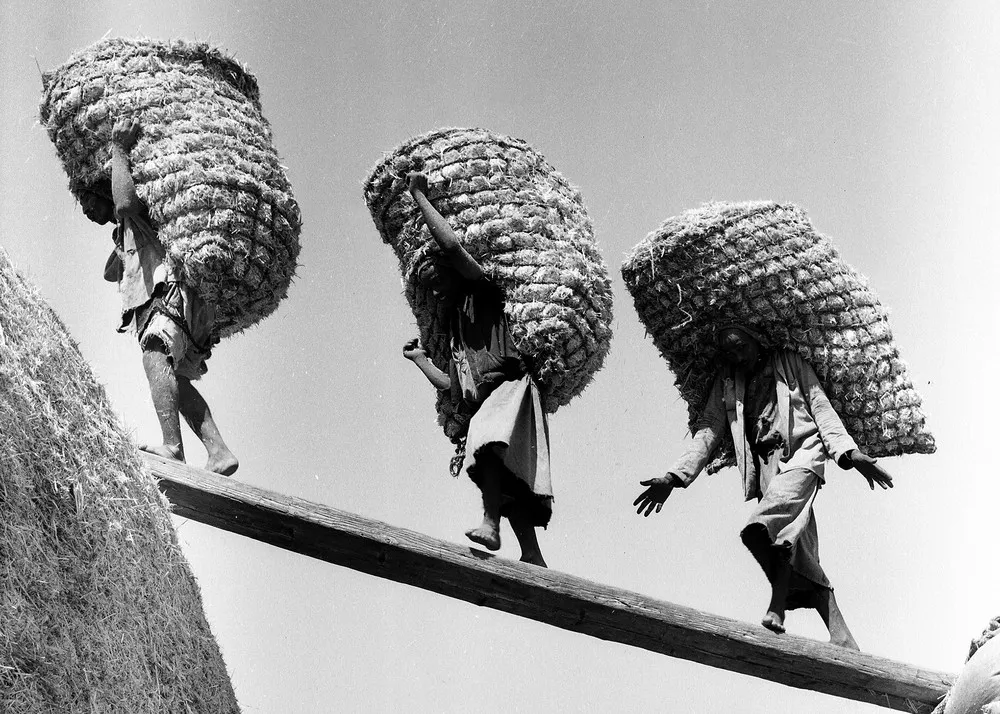 A Century of Egyptian Photography at the Dubai Photo Exhibition