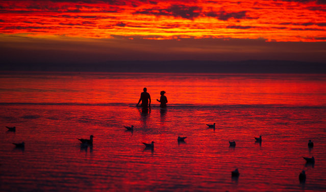 People and sea-gulls bathe in the sea as the sun goes up with red colors in Stralsund close to the baltic sea island of Rügen, on early November 23, 2016. (Photo by Stefan Sauer/AFP Photo/DPA)