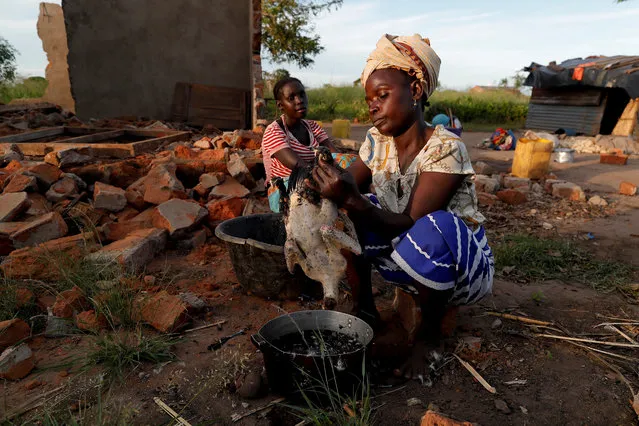 Maria Jofresse, 25, watches her mother Ester Thoma preparing food beside their damaged house in the aftermath of Cyclone Idai, in the village of Cheia, which means “Flood” in Portuguese, near Beira, Mozambique April 4, 2019. (Photo by Zohra Bensemra/Reuters)