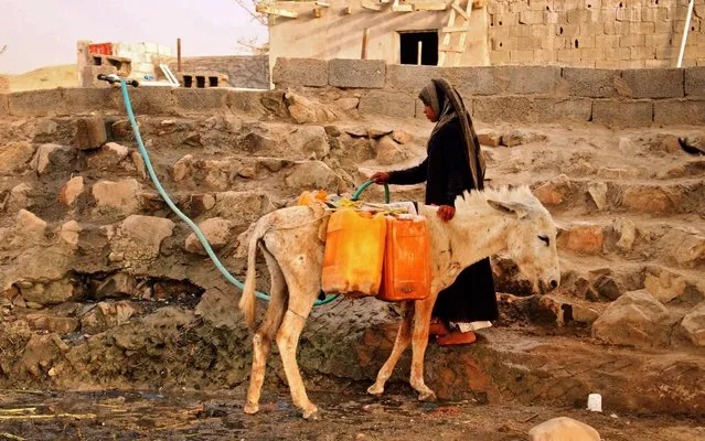 A displaced Yemeni woman from Hodeida fills water containers at a make-shift camp in a village in the northern district of Abs in the country's Hajjah province, on May 9, 2019. The Yemeni conflict has triggered what the United Nations describes as the world's worst humanitarian crisis, with 3.3 million people still displaced and 24.1 million in need of aid. (Photo by Essa Ahmed/AFP Photo)