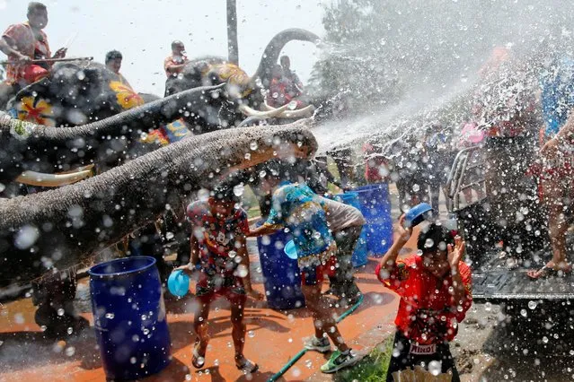 Elephants spray children with water during the celebration of the Songkran water festival in Thailand's Ayutthaya province, north of Bangkok, April 11, 2016. (Photo by Jorge Silva/Reuters)