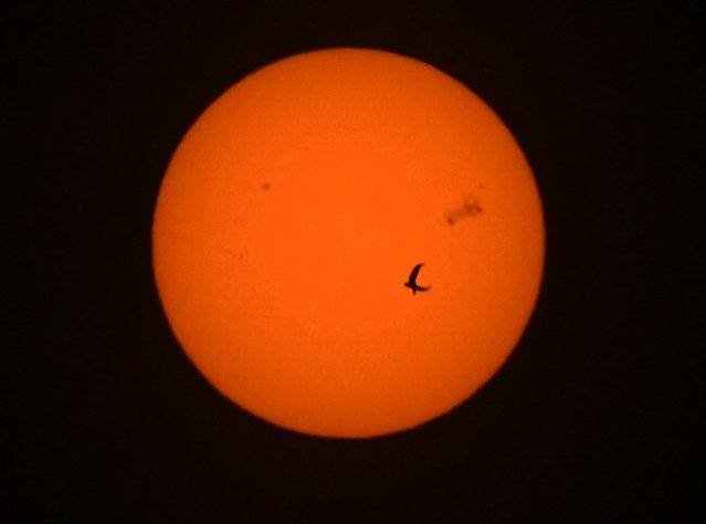 A pigeon flies in front of the sun with visible sunspot AR3664 (top-R) as it rises over Kuwait City on May 10, 2024. (Photo by Yasser Al-Zayyat/AFP Photo)