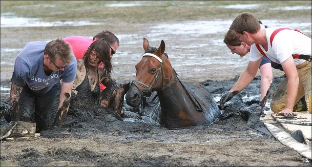 Owner Nicole Graham works with volunteers from CFA and SES tries to dig out her horse 'Astro' who became stuck up to his neck in mud at Avalon Beach