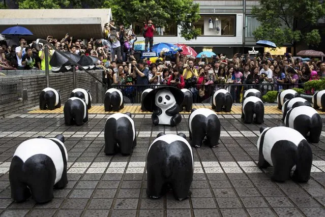 Papier-mache pandas, created by French artist Paulo Grangeon, are displayed under the rain at the financial Central district in Hong Kong June 21, 2014. (Photo by Tyrone Siu/Reuters)