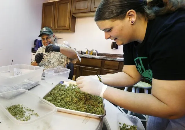 In this photo taken July 1, 2014, workers Kristi Tobias, right, and Bruce Cumming prepare packets of a variety of recreational marijuana named “Space Needle” at Sea of Green Farms in Seattle. (Photo by Ted S. Warren/AP Photo)