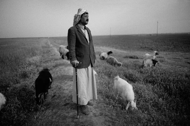 Ibrahim Abu Farham, a shepherd, in Moshrefa village in 2016, next to land ploughed for the first time since the war. All of the fields pictured were cleared by Mag teams. “My 19 year-old cousin was trying to clear the landmines here to stop his sheep from blowing up. He set one off and was killed. Nine people have been killed here by these landmines in the village. It is a tragedy”. (Photo by Sean Sutton for the Mines Advisory Group/The Guardian)