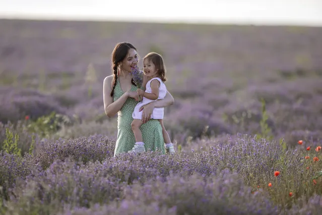 A mother pictured with her daughter in a lavender field near Cobusca Noua village, 44 Km North-East from Chisinau, Moldova, 24 June 2018. The place become very popular fot the photosession location after Lavender Fest, held in same place. (Photo by Dumitru Doru/EPA/EFE)