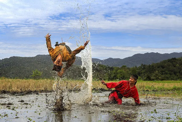 Exponents of silek lanyah, a form of martial art practised exclusively in muddy rice fields in Indonesia, train in West Sumatra in the second decade of August 2022. (Photo by Gatot Herliyanto/Solent News)