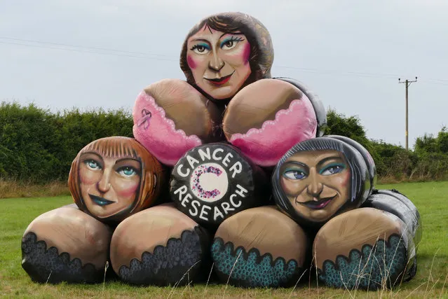The covers of hay bales near Salisbury, Dorset, UK are painted in support of breast cancer research on August 26, 2016. (Photo by Geoffrey Swaine/Rex Features/Shutterstock)