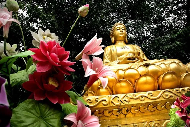 Statues of Buddha abound on the grounds of Xi'an's Big Goose Pagoda. (Photo by Mark Edelson/The Palm Beach Post)