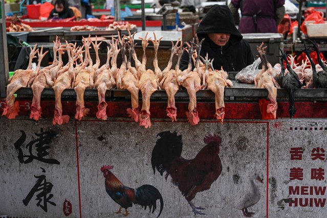 A vendor sells chicken at a wholesale market in Penglai district, Yantai city in eastern China’s Shandong province on November 26, 2024. (Photo by Jade Gao/AFP Photo)