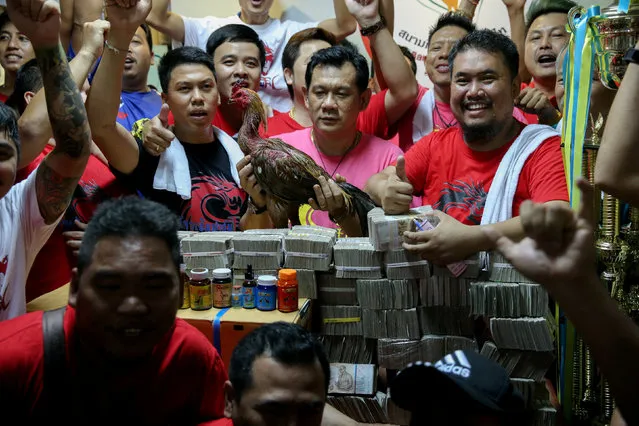 The owner of the winner rooster and his team pose after winning a cockfighting match with the highest cash reward of cockfighting in Thai history for more than one million USD at a stadium on the outskirts of Bangkok, Thailand, February 18, 2018. (Photo by Athit Perawongmetha/Reuters)