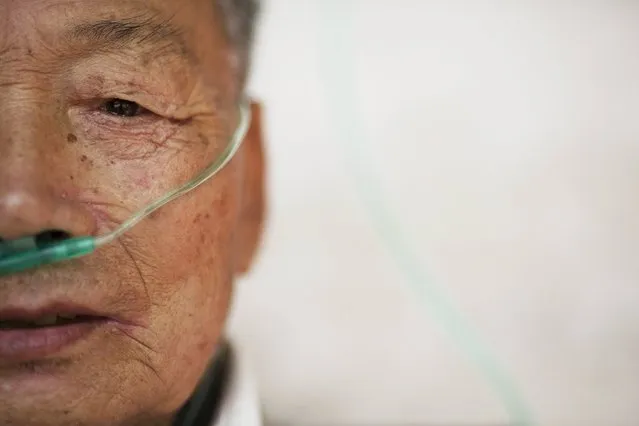 Hu Hushen, a 78 year old former miner, breathes using a nasal cannula for oxygen supply outside his room at Yangjia Hospital in Wuyi County, Zhejiang Province, China October 19, 2015. Hu was diagnosed with pneumoconiosis, a disease caused by the inhalation of dust, in 1976 and stopped working the same year. (Photo by Damir Sagolj/Reuters)