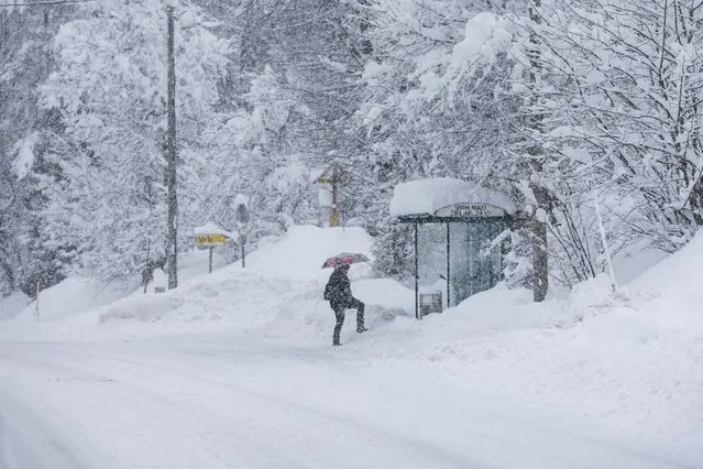 A person approaches a bus stop on a snow covered road in Kocevje, near Ljubljana Slovenia, Monday, January 23, 2023. A snow storm with gust winds has hampered traffic on a key highway in Slovenia on Monday and left parts of the country temporarily without electricity. (Photo by AP Photo/Stringer)