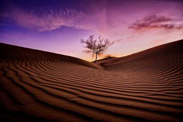 Sand dunes. (Photo by Dustin Farrell/Caters News)
