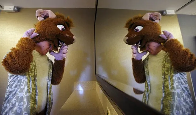 Arron Jarvis is reflected in a mirror as he puts on the head for his "fursuit" costume at the Midwest FurFest in the Chicago suburb of Rosemont, Illinois, United States, December 4, 2015. (Photo by Jim Young/Reuters)