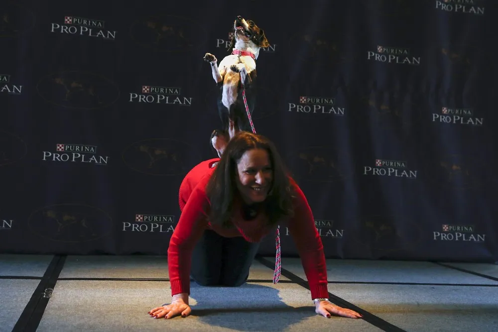 The Week in Pictures: January 16 – January 22, 2015. Part 5/7