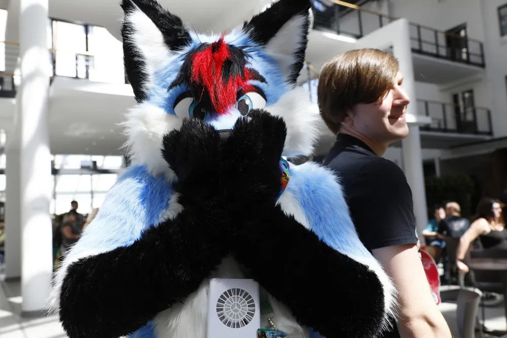 Eurofurence 2018 in Berlin