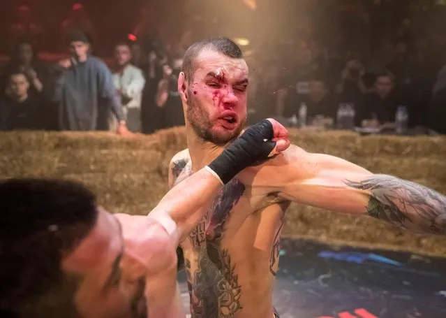 Danik Vesnenok and Danila Utenkov fight during the “Top Dog” bare-knuckle boxing tournament in Moscow, Russia on April 16, 2021. The fights are split by gender for women and men and involve three two-minute rounds. The rings are circled by haystacks and often covered in blood by the end. The organizers reject criticism that the bouts are dangerous for athletes. They say they receive flesh wounds that heal, while gloved boxers are able to receive more punches, which exposes them to longer-term problems such as brain damage. (Photo by Shamil Zhumatov/Reuters)