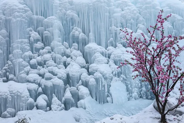 A frozen waterfall in the capital city of Hebei province, in Shijiazhuang, northern China on January 25, 2016. (Photo by Xinhua/Rex/Shutterstock)