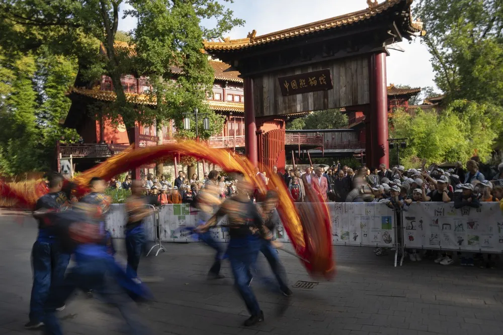 Some Photos: In Motion