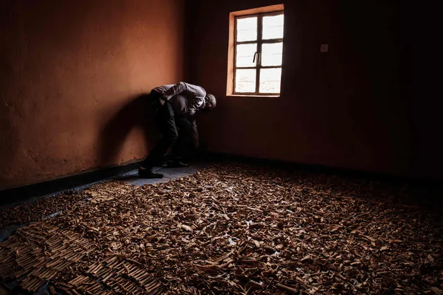 A worker stands near victims' bones recovered from pits which were used as mass grave during 1994 Rwandan genocide and hidden under houses in Kabuga, in the outskirts of Kigali, Rwanda on April 9, 2019. Rwanda on April 7, 2019 began 100 days of mourning for more than 800,000 people slaughtered in a genocide that shocked the world, a quarter of a century on from the day it began. (Photo by Yasuyoshi Chiba/AFP Photo)