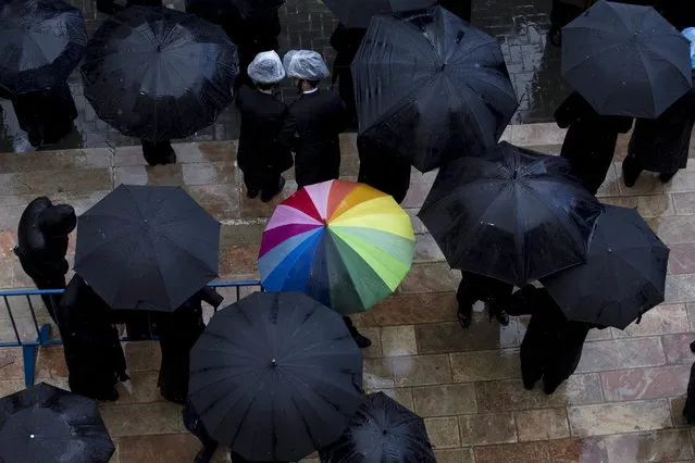 Ultra-Orthodox Jews under umbrellas escorted the body of Rabbi Yochanan Sofer, head Rebbe of the Erlau Hasidic dynasty during his funeral in Jerusalem, Israel, 22 February 2016. (Photo by Abir Sultan/EPA)