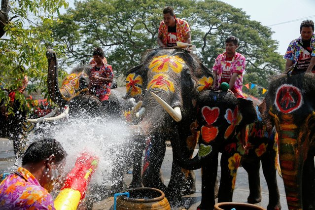 A man is splashed by elephants with water during the celebration of the Songkran water festival in Thailand's Ayutthaya province, north of Bangkok, April 11, 2016. (Photo by Jorge Silva/Reuters)