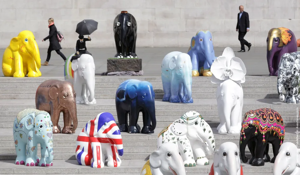 260 Elephant Sculptures