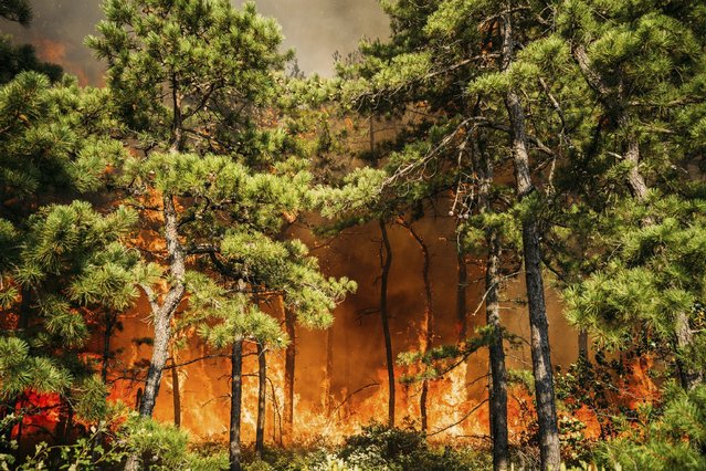 A fire burns at the Warren Grove Air To Ground Range, Tuesday, July 16, 2024. in Bass River Township, N.J. As of Wednesday, July 17, the New Jersey Forest Fire Service said the blaze was 80% contained and was not threatening any structures. (Photo by New Jersey Department of Environmental Protection via AP Photo)