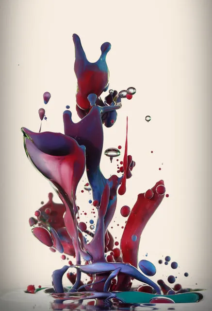 “Dropping” – Artist uses high-speed photography to capture the beauty of ink and oil. (Photo by Alberto Seveso)