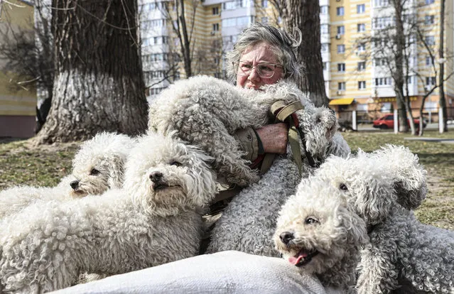 Tamara Nazarova, who was evacuated from the Ukrainian city of Irpin amid heavy clashes, is seen with dogs in Kyiv, Ukraine on March 26, 2022. Nazarova, brought 24 dogs, 12 of which belong to her, lives in a tent at Sviatosinski town of Kyiv and hopes to receive support from relevant institutions in Kiev. (Photo by Metin Aktas/Anadolu Agency via Getty Images)