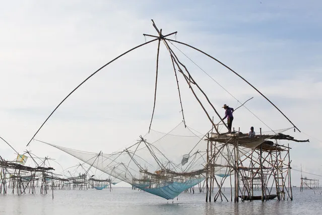 “Fisherwoman”. The fishing gear made by bamboo and net, called “Yor”, is used by fishermen in Phatthalung, Thailand. I have witnessed this unique way of fishing during my visit to Thailand in may 2014. I have seen a woman who is using (dip and winch) this gear for fishing in the morning. Shooting towards the sunlight with narrow aperture normally showcases the mood of the environment with no touch on the original photo. Photo location: Ban Pakpra, Phatthalung, Thailand. (Photo and caption by Kajan Madrasmail/National Geographic Photo Contest)