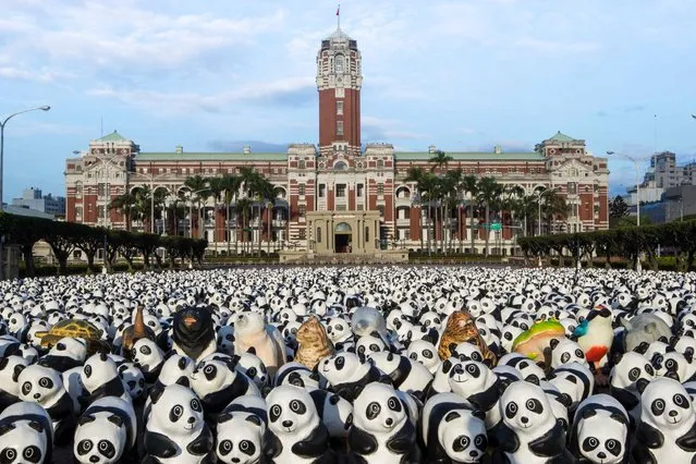 Paul Grangeon, French artist, his work has united World Wildlife Fund (WWF) in 1600 and cricou small pandas paper-marche. The number was not chosen for any reason. This is the estimated remaining pandas in the world. (Photo by Yahoo Brasil)